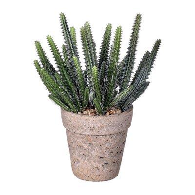 Primrue 10.5" Artificial Cactus Plant in Pot Plastic in Brown, Size 5.5 H x 10.5 W x 5.5 D in | Wayfair C0BD9242929040A988810FDB3D55D7F8
