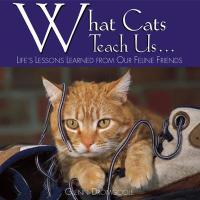 Willow Creek Press What Cats Teach Us Book