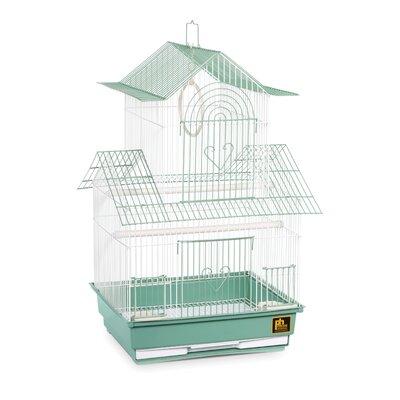 Archie & Oscar™ Higbee 22" Plastic Pointed Top Hanging Bird Cage w/ Perch Plastic in Green/White, Size 22.0 H x 11.0 W x 13.5 D in | Wayfair