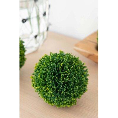 Charlton Home® Ball Decor Boxwood Topiary Plastic, Size 5.0 H x 12.75 W x 5.0 D in | Wayfair 9AB10AA7E7474692A766ABE05F7C507D