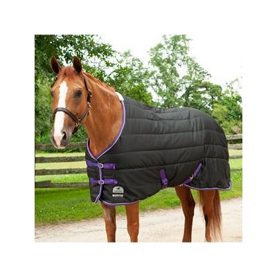 SmartPak Classic Stable Blanket - 75 - Medium (220g) - Black w/ Purple Trim