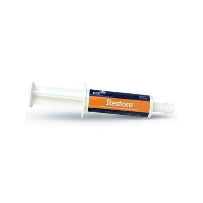 Restore Paste - Single 60 g Tube Horse Electrolyte Supplements