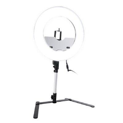 IMPRESSIONS VANITY · COMPANY 13.5 Inch Desktop Dimmable LED Vanity Studio Ring Light w/ Phone Holder, Dimmable Lighting System | Wayfair