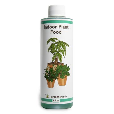 Perfect Plants Fertilizer - Liquid Indoor Plant Food