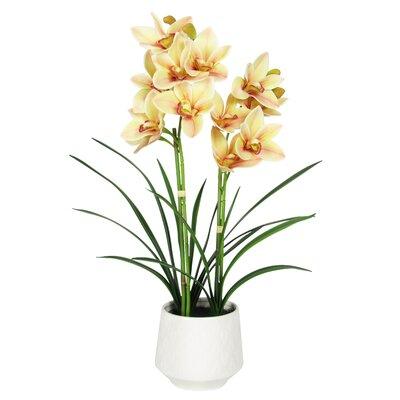 Primrue Cymbidium Orchid Floral Arrangement in Pot Silk/Polyester/Fabric | 24 H x 18 W x 8 D in | Wayfair 549AB58F8E6E4E6D8588ED6730A569A0