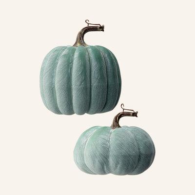 Kelly Clarkson Home 2 Piece Waterproof Weathered Pumpkin Set in Blue | 6 H x 6 W x 5.5 D in | Wayfair F6A471B5951B4C3B8508F939FCA905D7