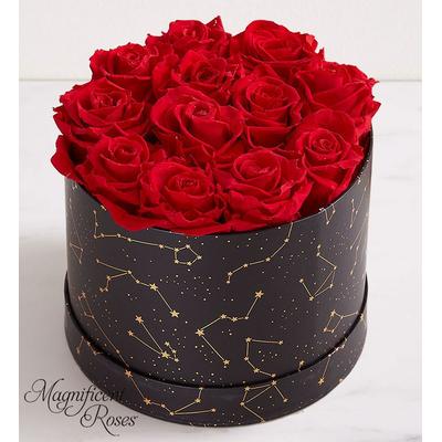 1-800-Flowers Flower Delivery Magnificent Roses Preserved Night Sky Magnificent Roses Night Sky Red | Put A Smile On Their Face