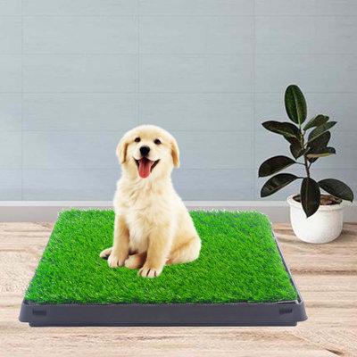 Tucker Murphy Pet™ Chambria Artificial Grass Dog Sofa Polyester in Black/Green | 1.19 H x 30 W x 20 D in | Wayfair 8102BDE065604F569F0C3EC5481252B7