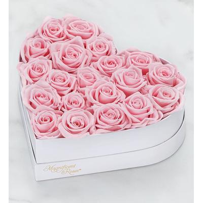1-800-Flowers Flower Delivery Magnificent Roses Pr...
