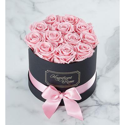1-800-Flowers Flower Delivery Magnificent Roses Preserved Pink Roses One Dozen