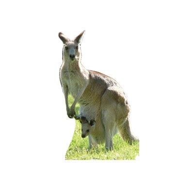 Advanced Graphics Animals Kangaroo Cardboard Stand-Up, Size 60.0 H x 38.0 W in | Wayfair #53