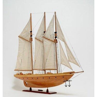 Old Modern Handicrafts Atlantic Model Boat Wood in Brown/Gray | 33 H x 38 W x 8 D in | Wayfair Y004