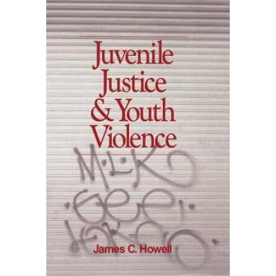 Juvenile Justice And Youth Violence