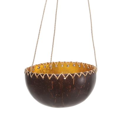 Clean Environment,'Hanging Coconut Shell Plant Pot'