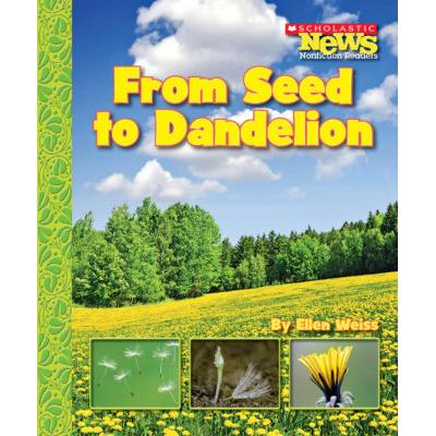 Scholastic News: From Seed to Dandelion (paperback) - by Ellen Weiss