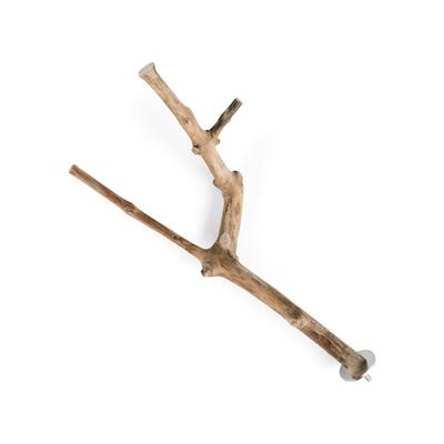 Java Wood Multi-Branch Perch Toy, X-Small, Natural Wood