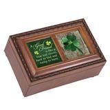 Trinx Good Friend Four Leaf Clover Memory Box Plastic/Acrylic in Brown/Green | 2.625 H x 6 W x 4 D in | Wayfair 8844A7EEF3DB460ABFC4206805B1736E